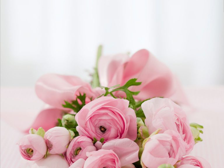 Przeproś kwiatami — jakie kwiaty podarować na przeprosiny?